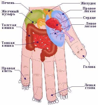 Как определить болезни человека по его рукам