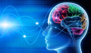 Может ли в мозге человека закончиться память?