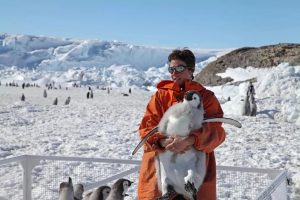 Почему пингвины не живут на Северном полюсе?