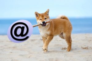 Откуда появилась “собака” в электронной почте  
